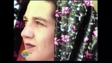 Terra mia – Soleandro