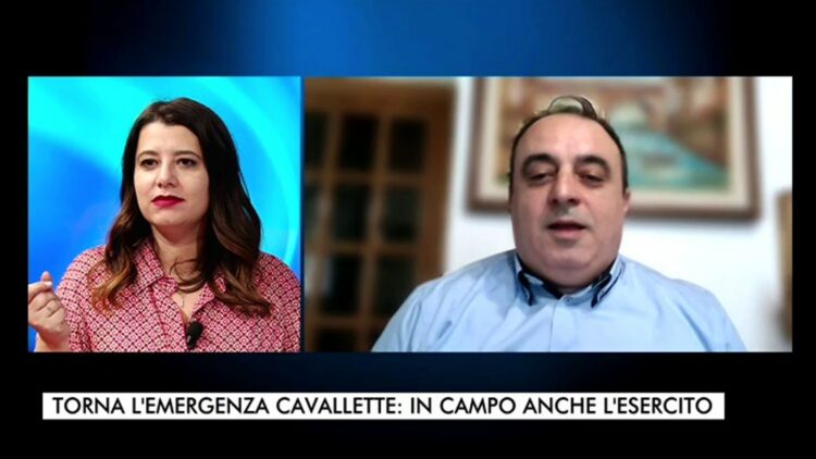TG 25.02.2023 INTERVISTA PIETRO CALVISI