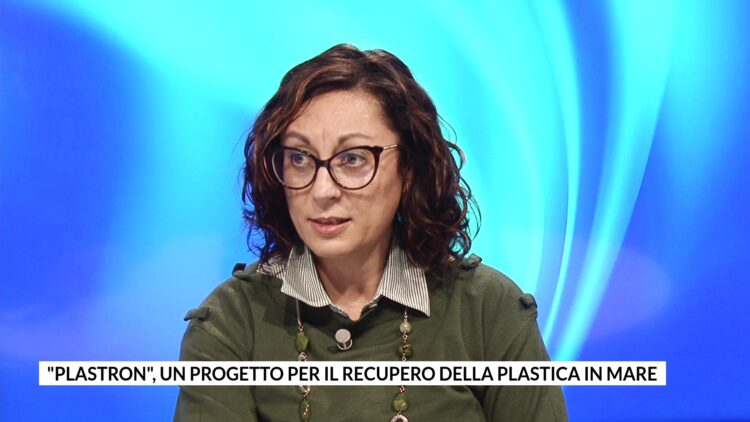 vlcsnap-2025-11-08-16h14m03s036